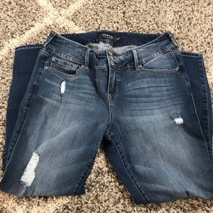 Torrid Premium Jeggings